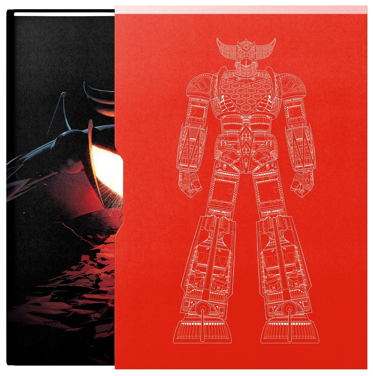 GOLDRAKE - COLLECTOR'S EDITION - Immagine 3