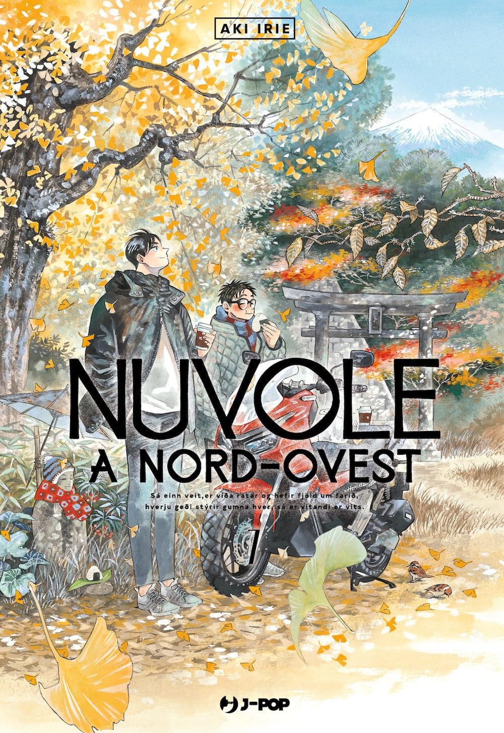 NUVOLE A NORD OVEST 7