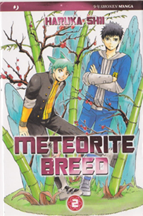 METEORITE BREED 2