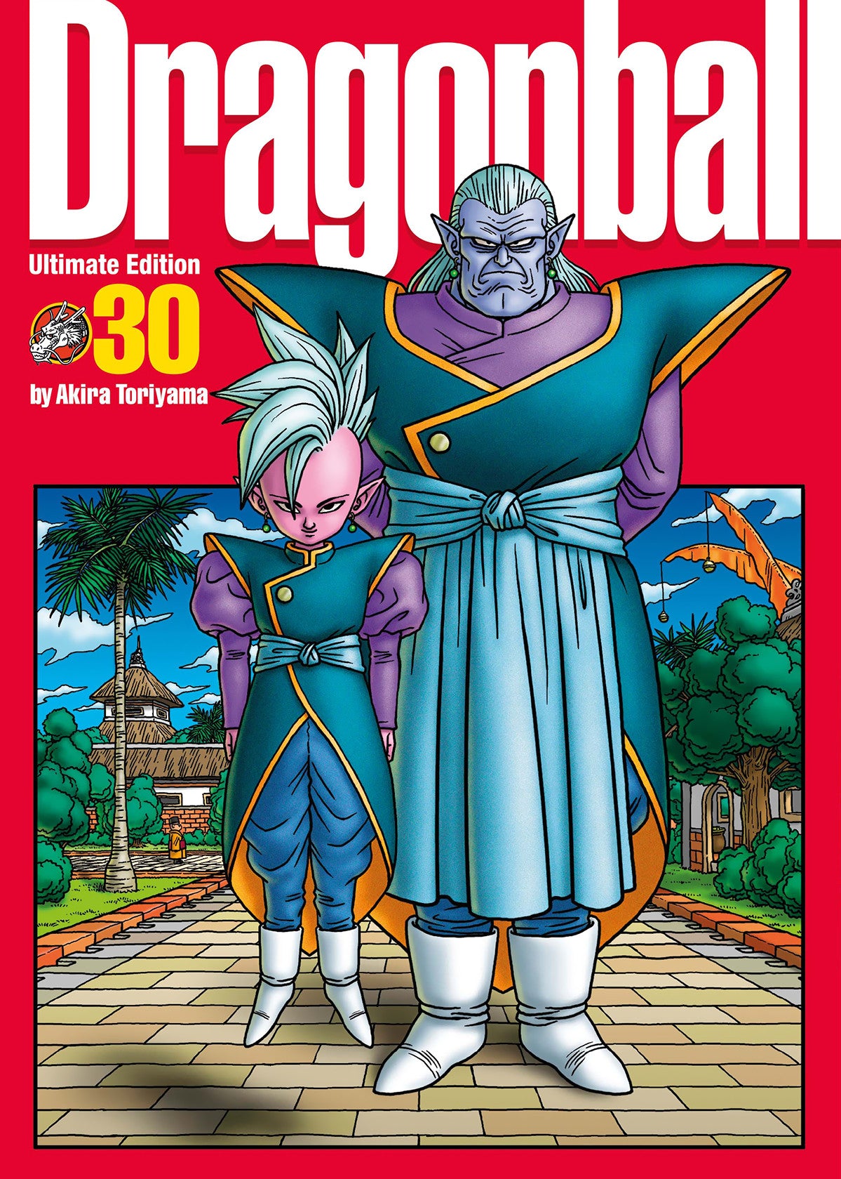 DRAGON BALL ULTIMATE EDITION 30 (DI 34)