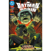 BATMAN E ROBIN 29