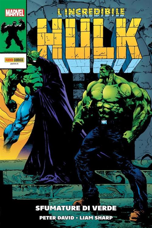 L'INCREDIBILE HULK DI PETER DAVID 7 - SFUMATURE DI VERDE