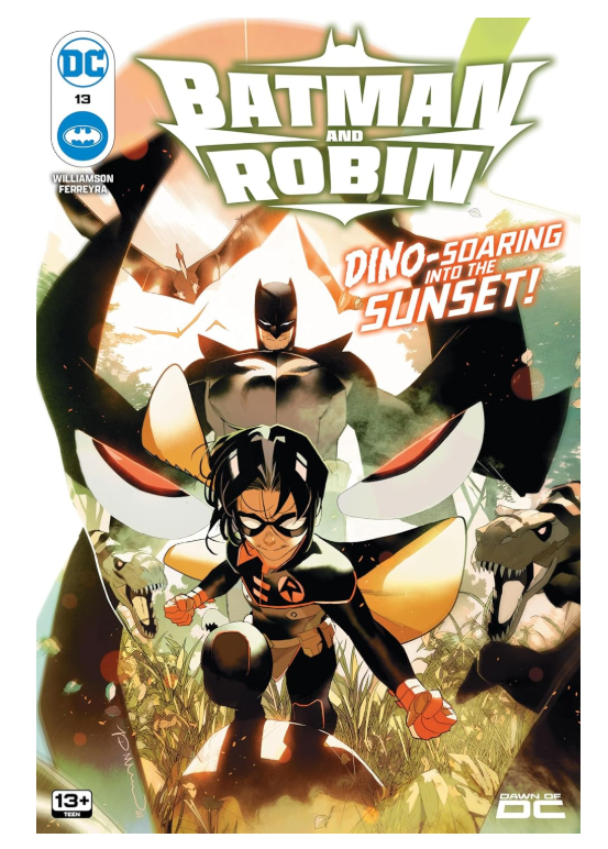 BATMAN E ROBIN 13