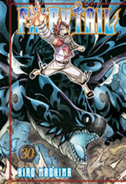 FAIRY TAIL 30