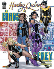 HARLEY QUINN E LE BIRDS OF PREY 4