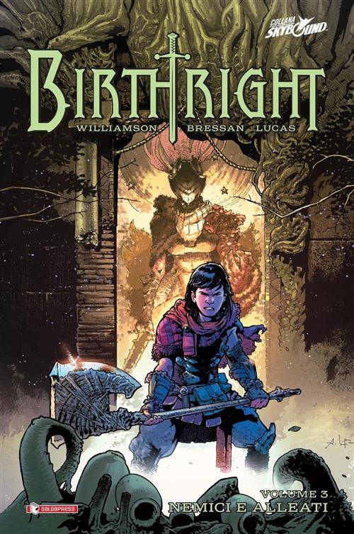 BIRTHRIGHT 3 CARTONATO - NEMICI E ALLEATI
