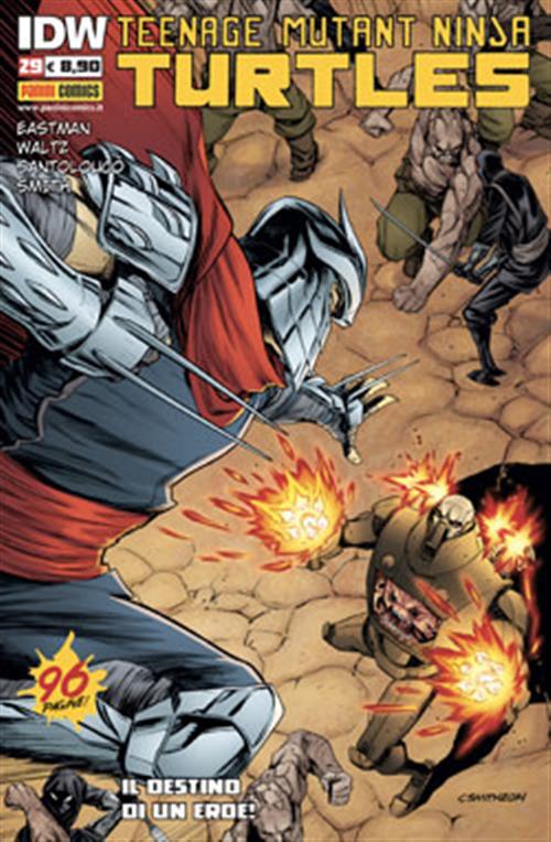 TEENAGE MUTANT NINJA TURTLES 29