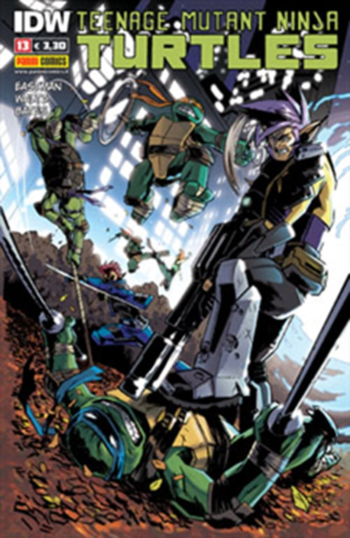 TEENAGE MUTANT NINJA TURTLES 13