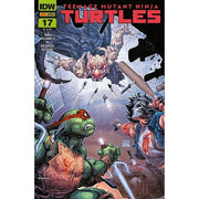 TEENAGE MUTANT NINJA TURTLES (2024) VOL.17