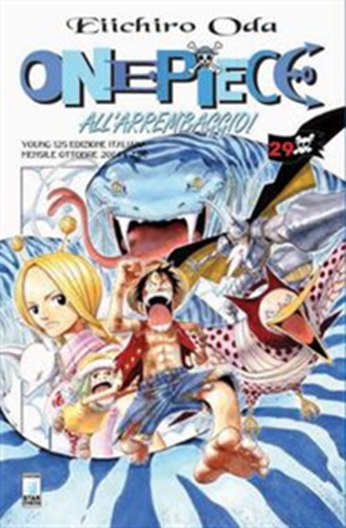 ONE PIECE 29