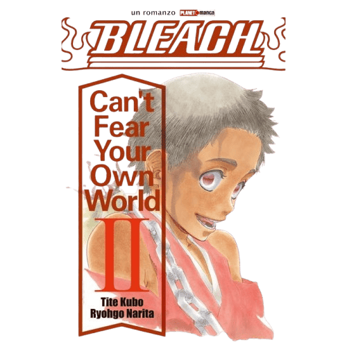 BLEACH CAN'T FEAR YOUR OWN WORLD 2 - ROMANZO - PRIMA RISTAMPA