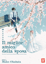 IL MIGLIOR AMICO DELLA SPOSA