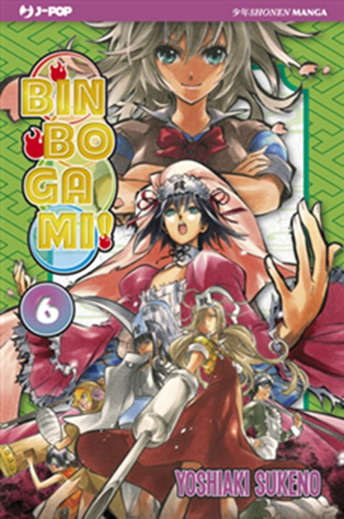 BINBOGAMI 6