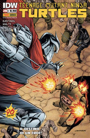 TEENAGE MUTANT NINJA TURTLES 29