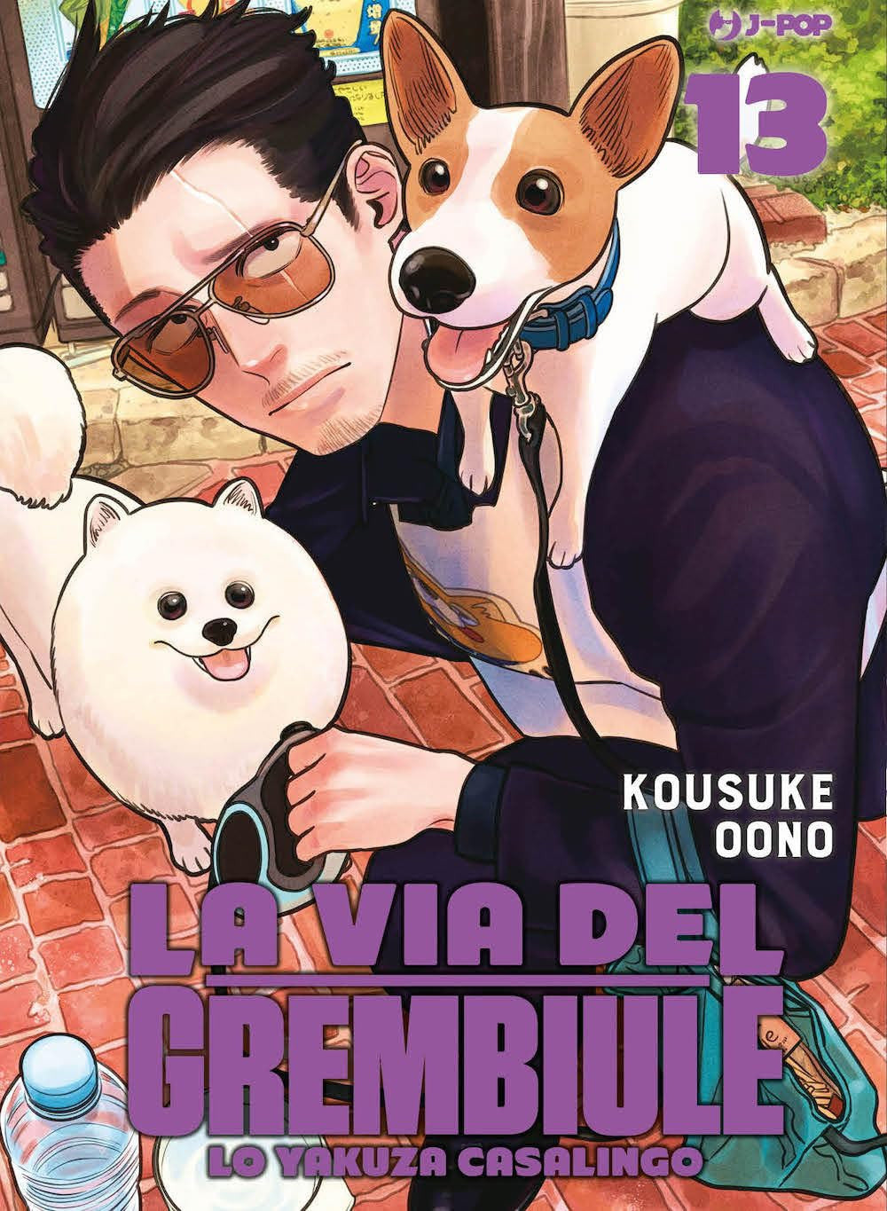 LA VIA DEL GREMBIULE - LO YAKUZA CASALINGO 13